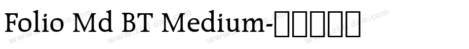 Folio Md BT Medium字体转换